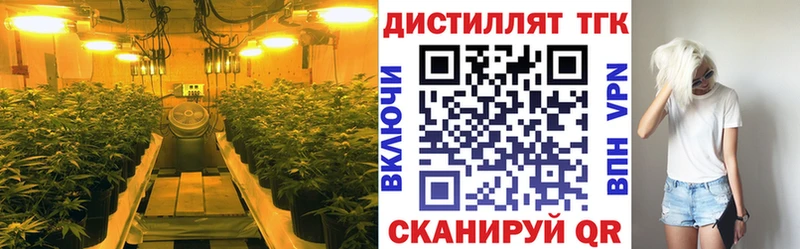 мориарти наркотические препараты  Черняховск  ТГК концентрат 