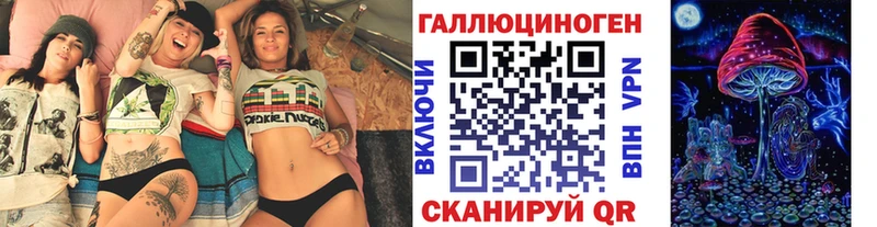 Галлюциногенные грибы Psilocybe  Черняховск 